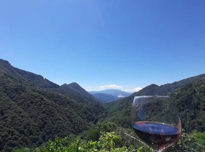 B&B La Locanda Del Cinghiale