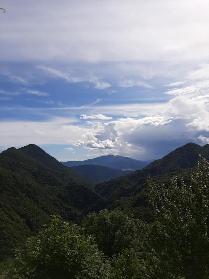 La Del Cinghiale Bed & Breakfast *