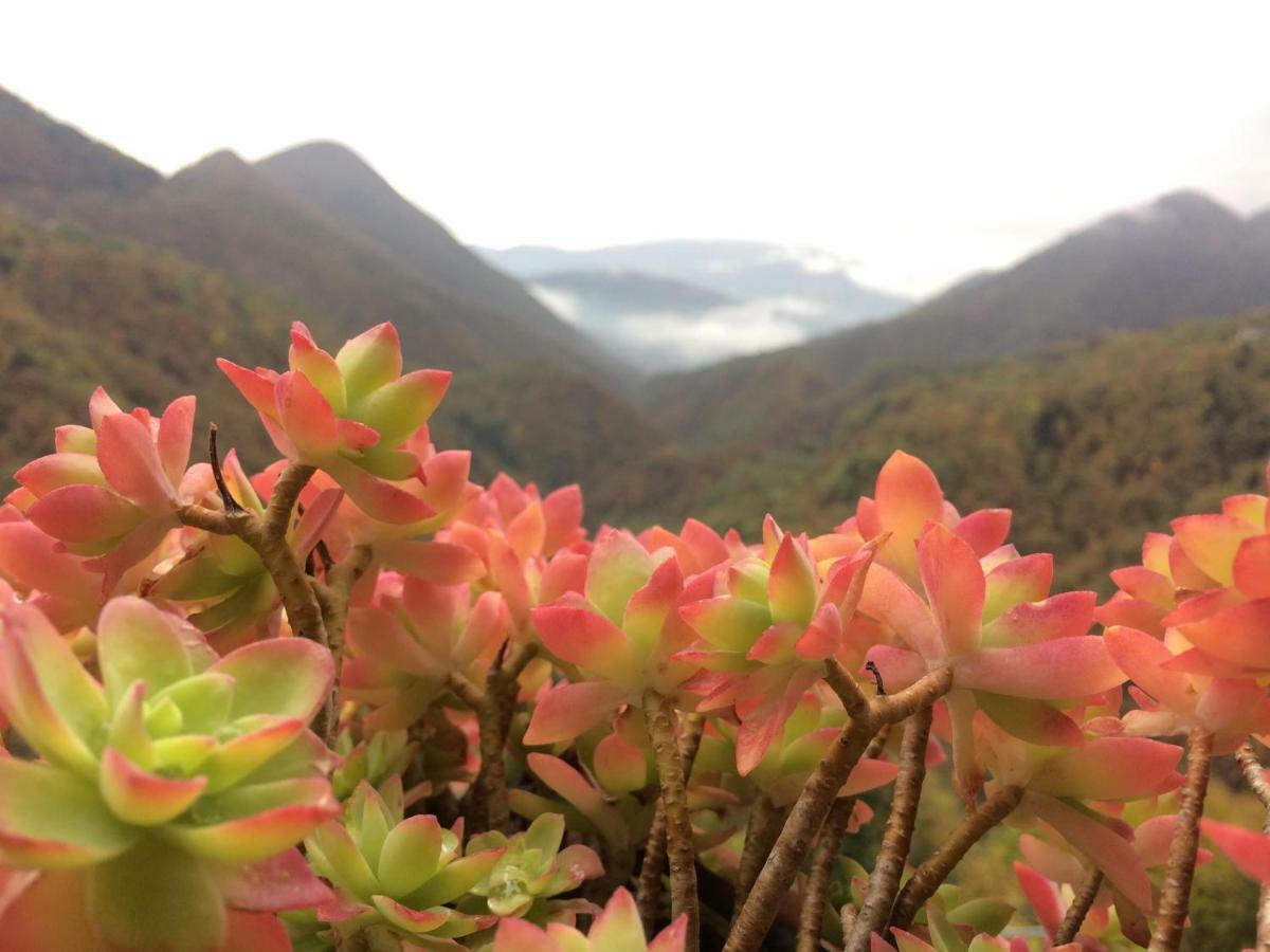 La Del Cinghiale Bed & Breakfast