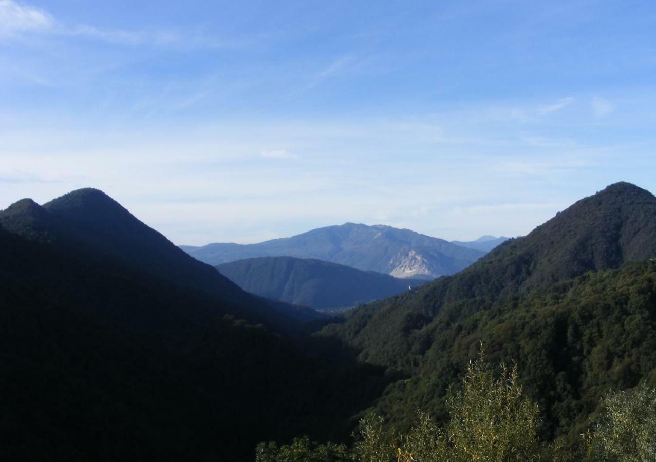 La Del Cinghiale Bed & Breakfast *